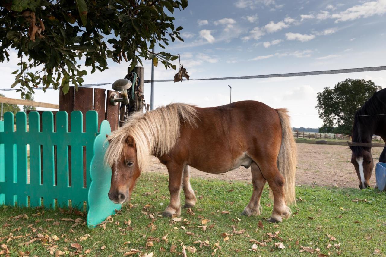 Apartmán La Ferme Des Nonains Montjavoult Exteriér fotografie