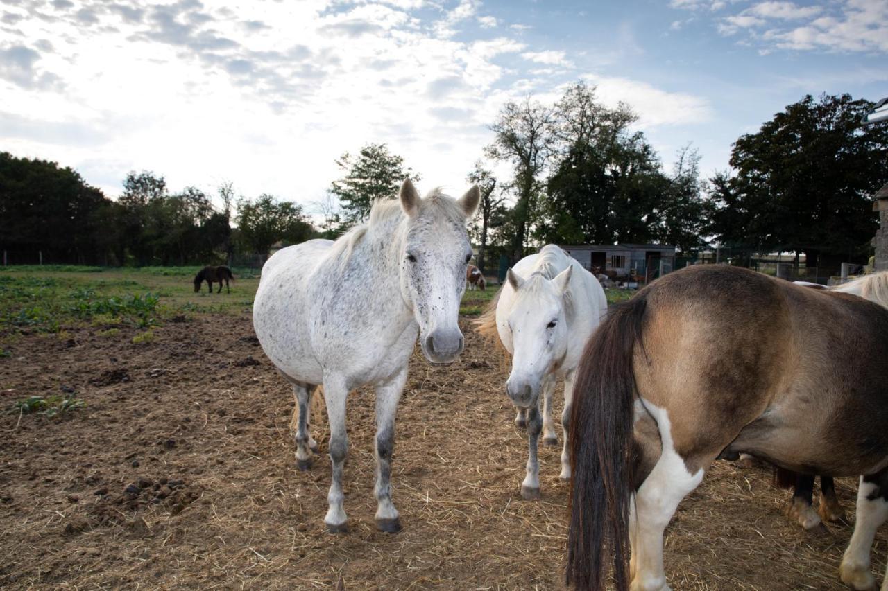 Apartmán La Ferme Des Nonains Montjavoult Exteriér fotografie