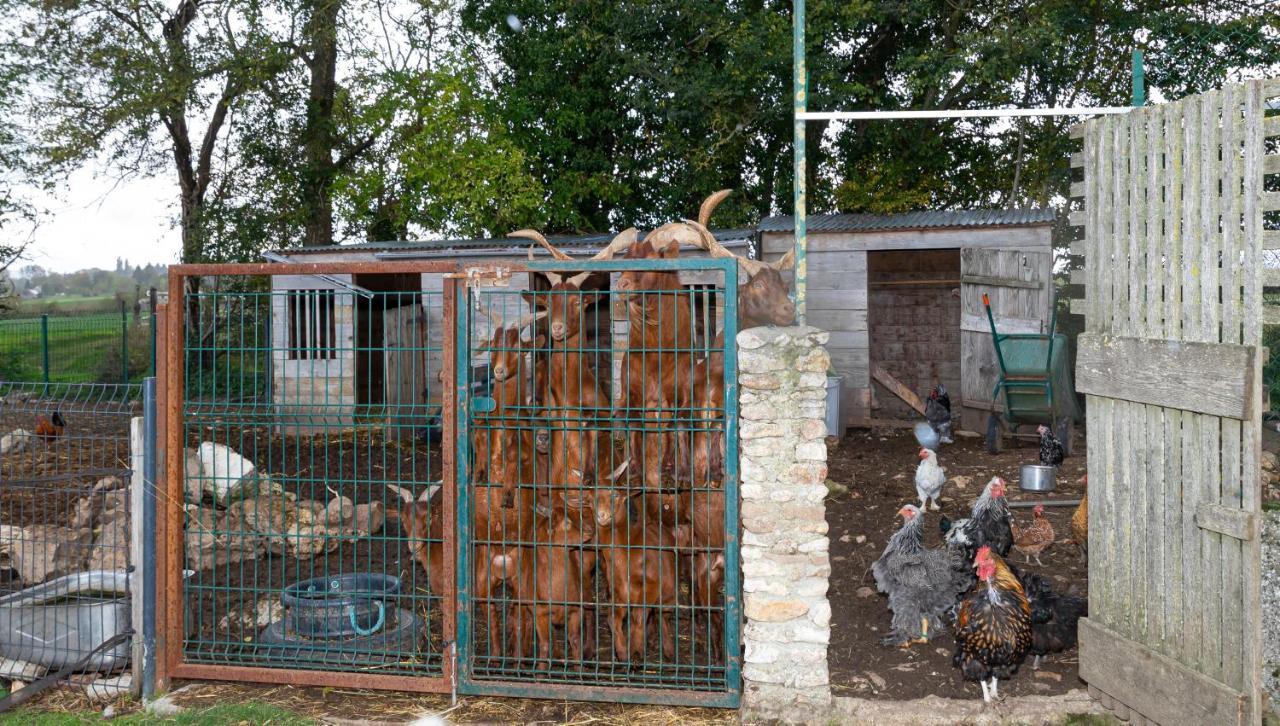 Apartmán La Ferme Des Nonains Montjavoult Exteriér fotografie